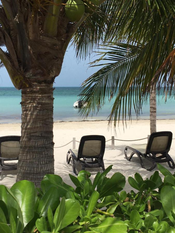 Amara Cancun Beachfront Condo Εξωτερικό φωτογραφία